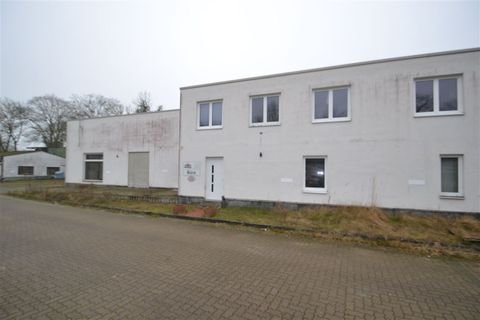 Plau Halle, Plau Hallenfläche