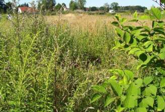 weitere Bilder folgen