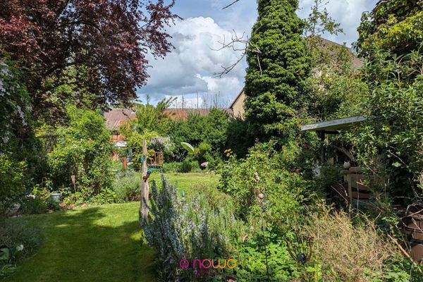 Blick in den großen Garten_1