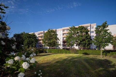 Halle Wohnungen, Halle Wohnung mieten