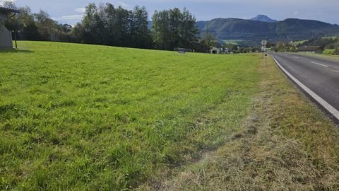 Oberwang Industrieflächen, Lagerflächen, Produktionshalle, Serviceflächen