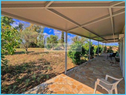 137d2680a3cc4eb6b2ae090b417d64b3-original