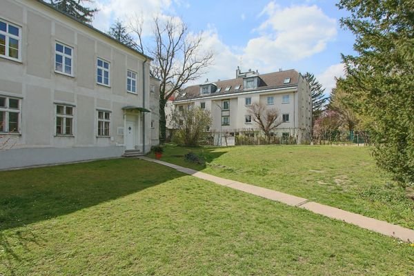allgemeiner Garten