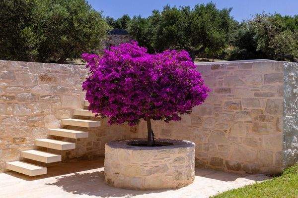 Kreta, Plaka: 2 Luxusvillen mit Tennisplatz, Olivenhain und atemberaubendem Meerblick zu verkaufen