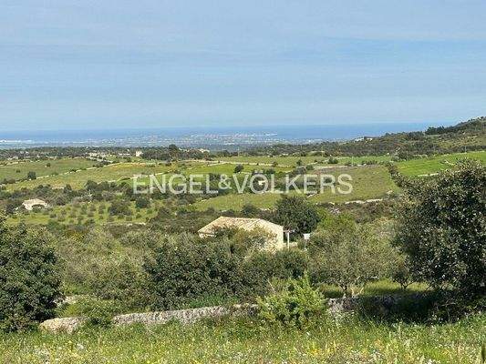 WhatsApp Image 2025-04-13 at 10.54.17 (1).jpg