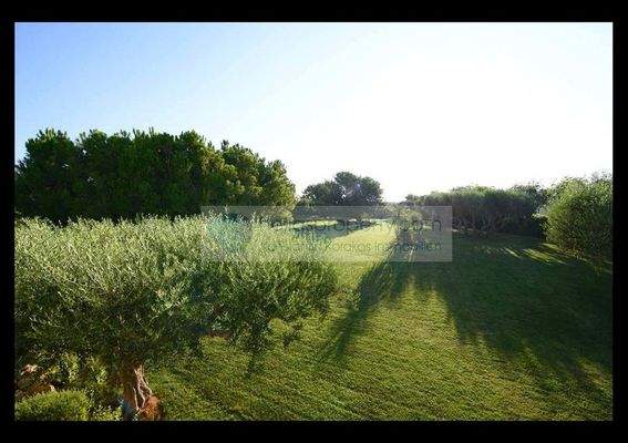 Villa Hersonisos (21)