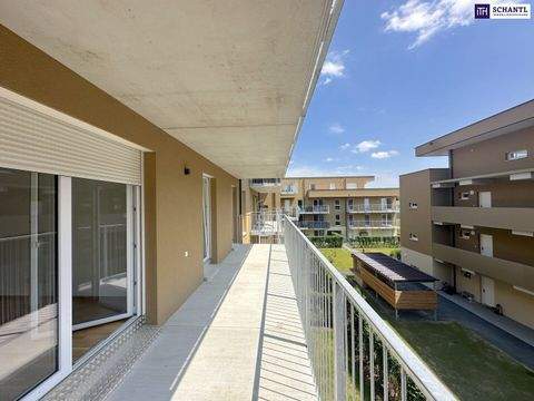 Kalsdorf bei Graz Wohnungen, Kalsdorf bei Graz Wohnung kaufen