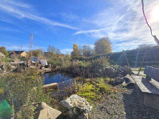 Teich Pferdehof Schlatter Immobilien