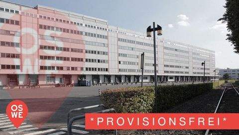 Frankfurt am Main Halle, Frankfurt am Main Hallenfläche