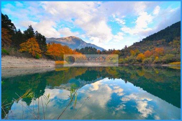 dd2bca597c9b437aabf174cd2958b652-original