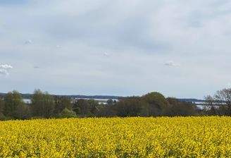 Blick auf die Schlei