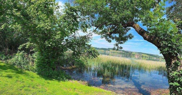 Grundstück am Obertrumer See