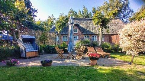 Welt Häuser, Welt Haus kaufen