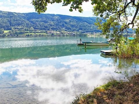 Steindorf am Ossiacher See Wohnungen, Steindorf am Ossiacher See Wohnung kaufen