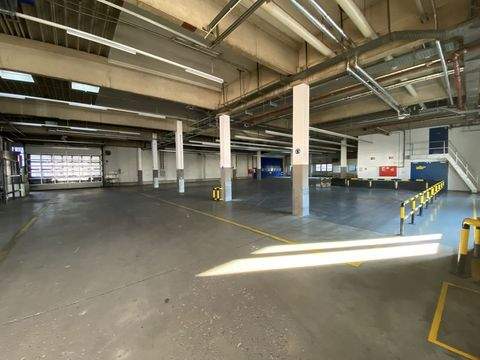 Kassel Halle, Kassel Hallenfläche