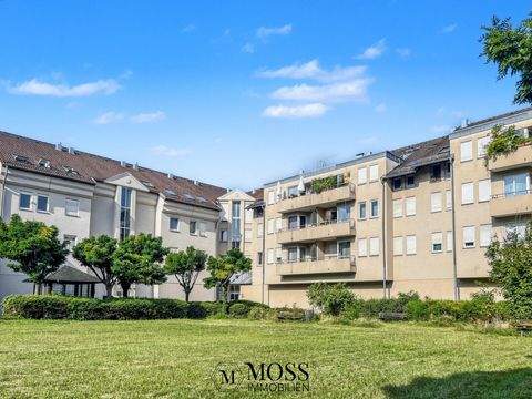 Freiburg im Breisgau Wohnungen, Freiburg im Breisgau Wohnung kaufen