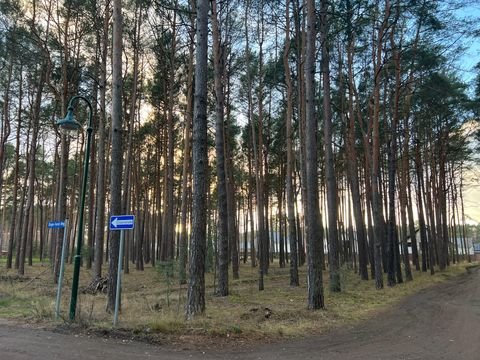 Borkwalde Grundstücke, Borkwalde Grundstück kaufen