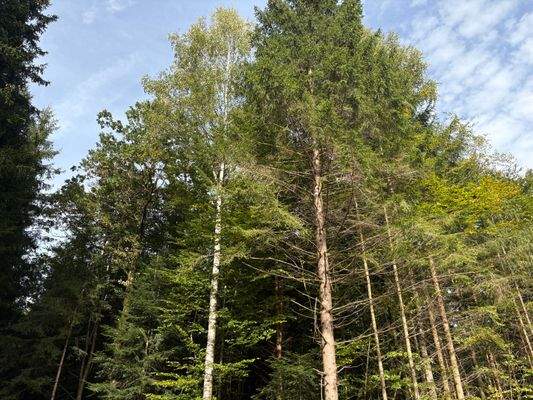 2025-10-08 14.58.59.jpg