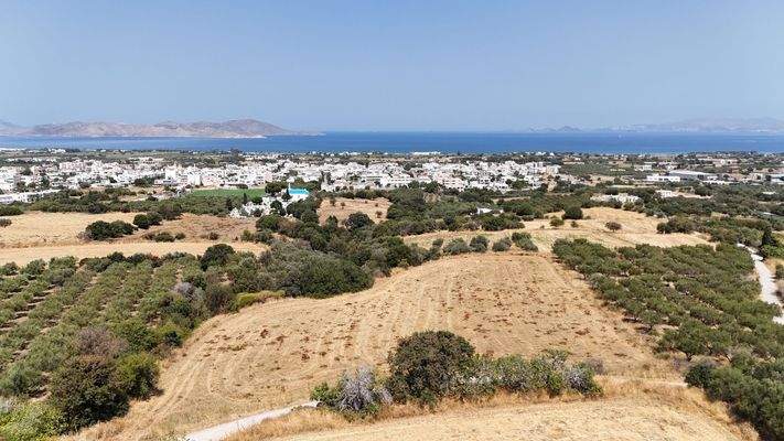 DJI_20240823113034_0028_D