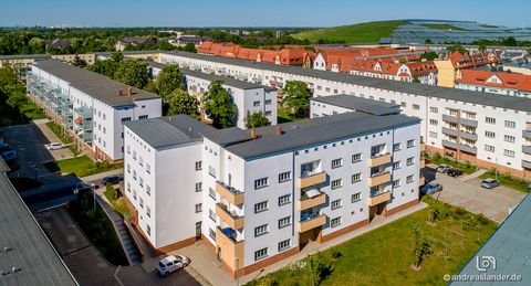 Magdeburg Wohnungen, Magdeburg Wohnung mieten