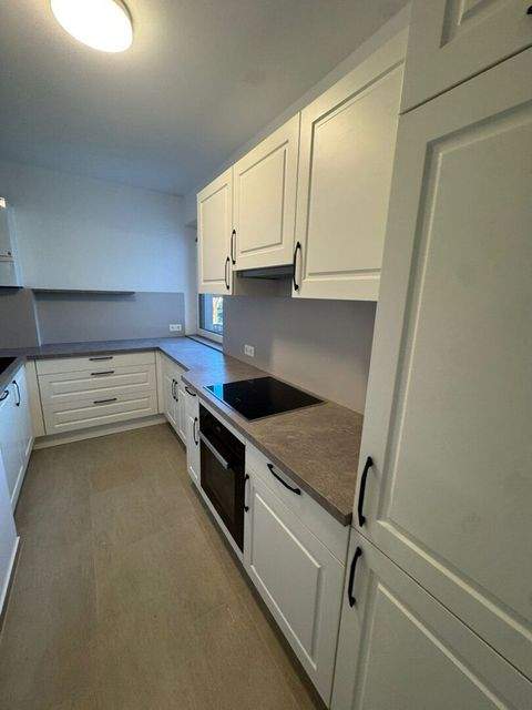 Schwarzau am Steinfeld Wohnungen, Schwarzau am Steinfeld Wohnung mieten