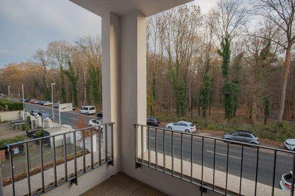 Blick in die Eilenriede