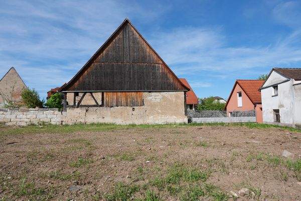 Blickfang auf dem Nachbargrundstück