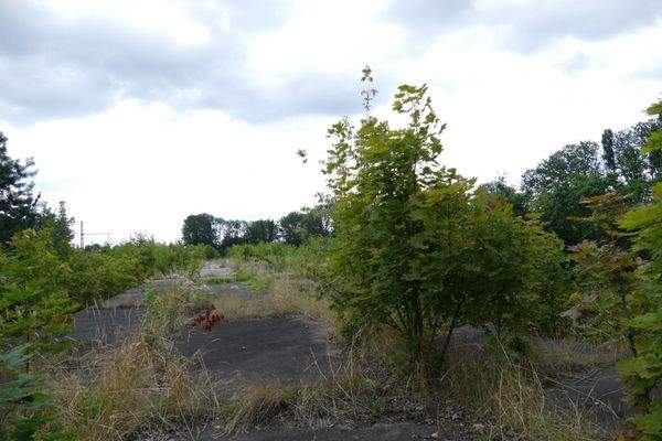 Bauland         .jpeg