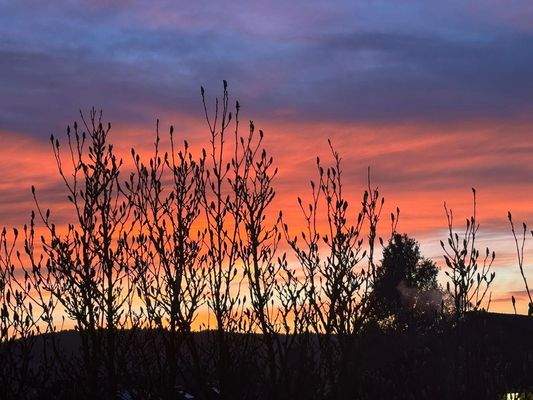 Sonnenaufgang beim Frühstück