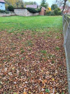 Ansicht mit der vorhandenen Grenzbebauung