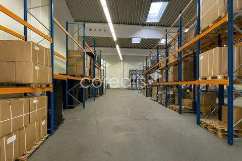 Essen Halle, Essen Hallenfläche