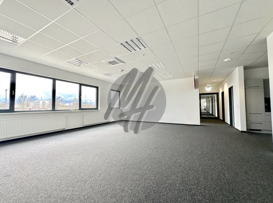 INFOS UNTER: 06171-586000