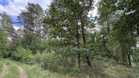 Karwitz Bauernhöfe, Landwirtschaft, Karwitz Forstwirtschaft