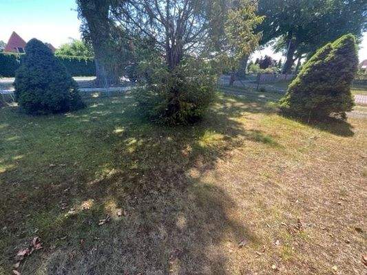 gepflegter Vorgarten