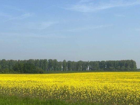 nahe gelegene Felder