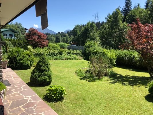 Blick in den 320 m² großen Garten