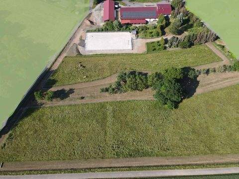 Hardheim Bauernhöfe, Landwirtschaft, Hardheim Forstwirtschaft