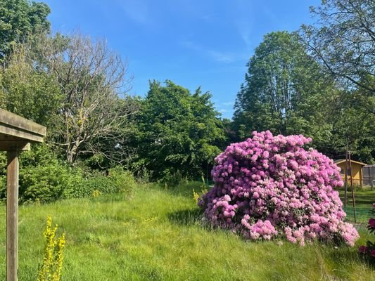 Blick in den Garten