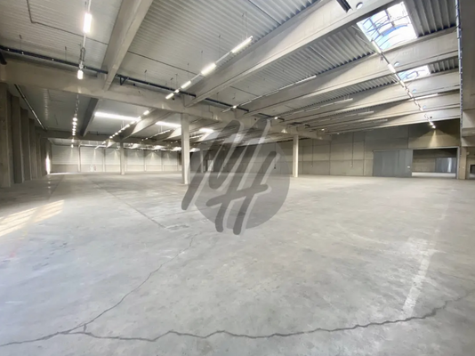 INFOS UNTER: 06171-586000