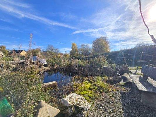 Teich Pferdehof Schlatter Immobilien