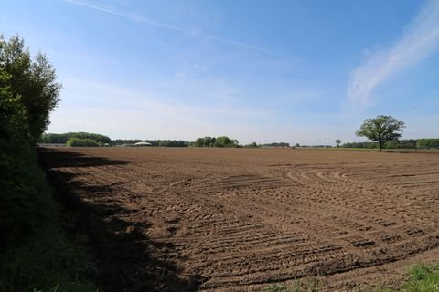 Bakum-Lüsche Bauernhöfe, Landwirtschaft, Bakum-Lüsche Forstwirtschaft