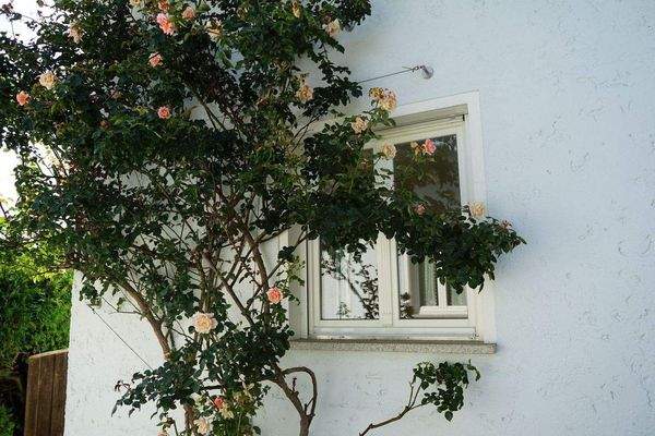 Gemütliches Landhaus