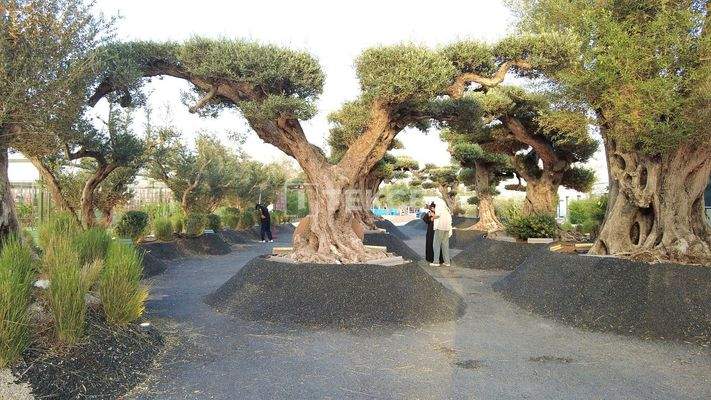 Luxury Apartments with Installment Plans in Dubai Meydan