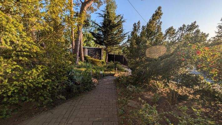 Weg mit Bäume & Sträucher