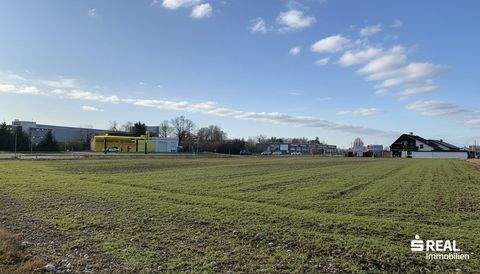 Marchtrenk Grundstücke, Marchtrenk Grundstück kaufen