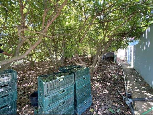 WhatsApp Image 2025-05-01 at 12.22.01 (1).jpeg