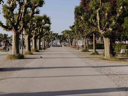 Konstanz_Parkanalge.jpg