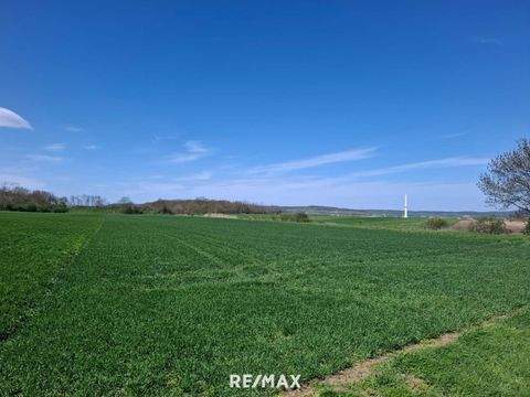 Prellenkirchen Grundstücke, Prellenkirchen Grundstück kaufen