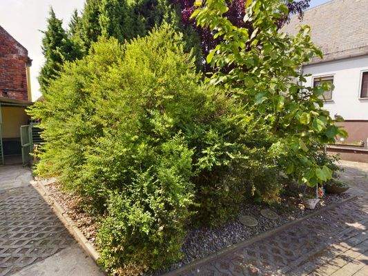 besserimmo EFH Breddin Freiluftareal 1