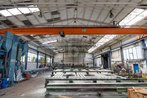 Düsseldorf Halle, Düsseldorf Hallenfläche